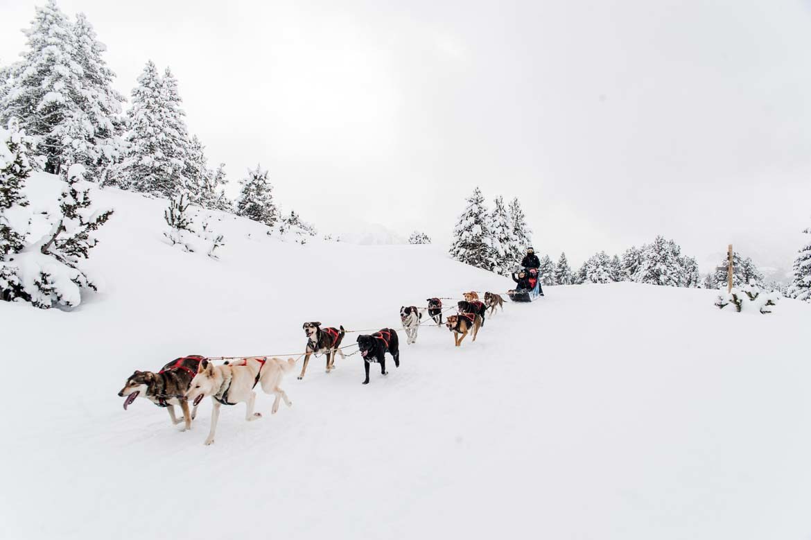 MUSHER BENJAMIN PELSY EVASION NORDIQUE Ariège Occitanie France