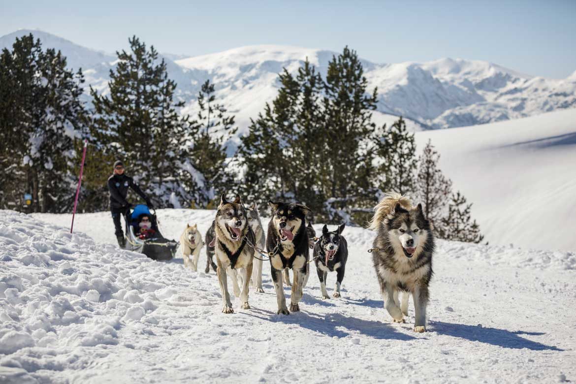 balade grand nord en traineau à chiens, Ariège 09, Occitanie