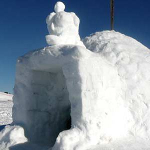 Igloo