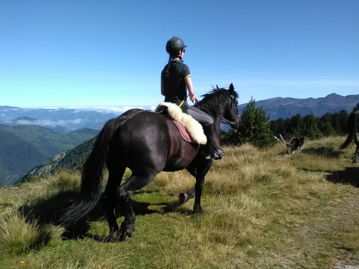 rando-cheval