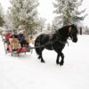 Traineau à cheval "Carrousel des Neiges" Angaka