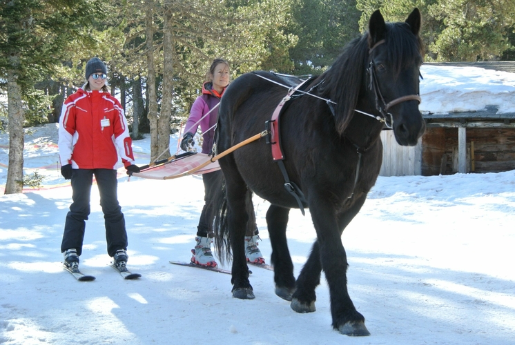 Ski Joering - Plateau de Beille - Angaka - Ariège
