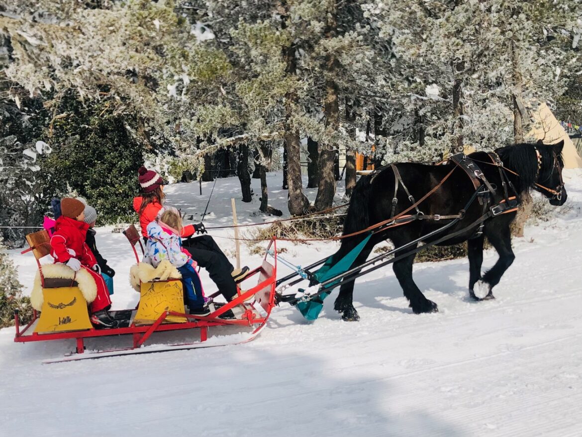 Traîneau Cheval Angaka